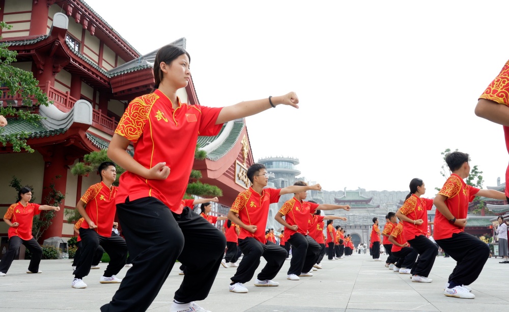 女孩子学习武术实图