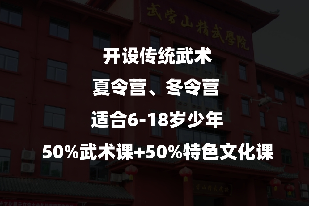 武术夏令营冬令营 武术夏令营冬令营