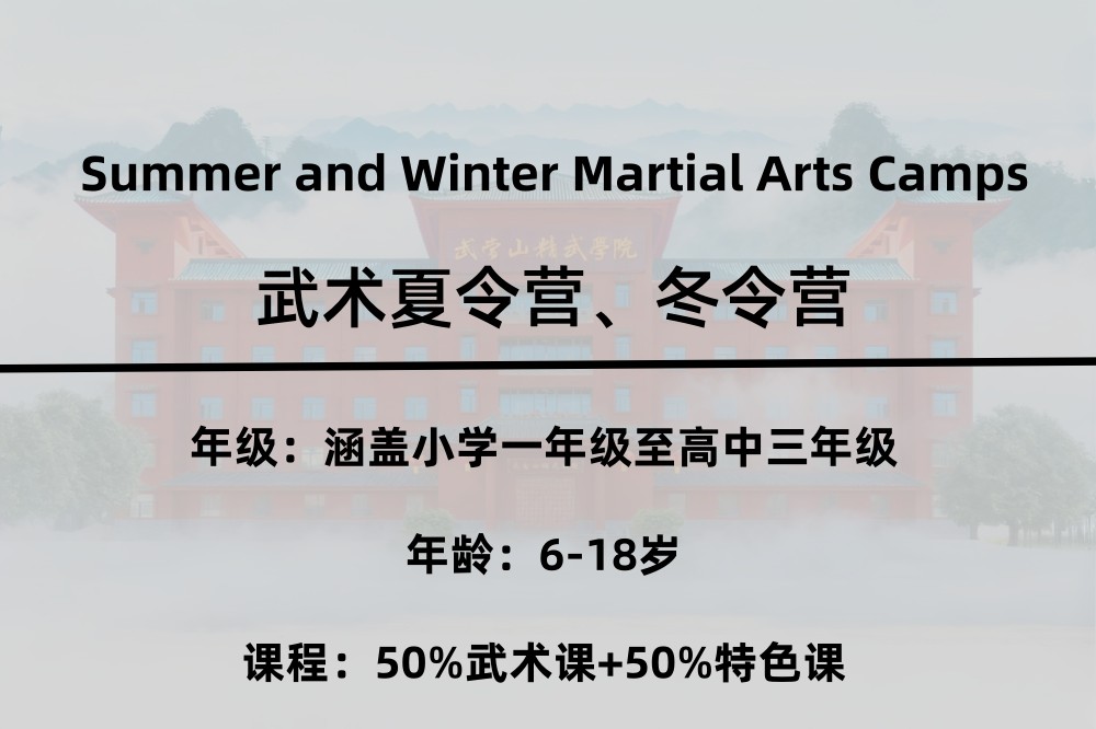 武术夏令营冬令营 武术夏令营冬令营